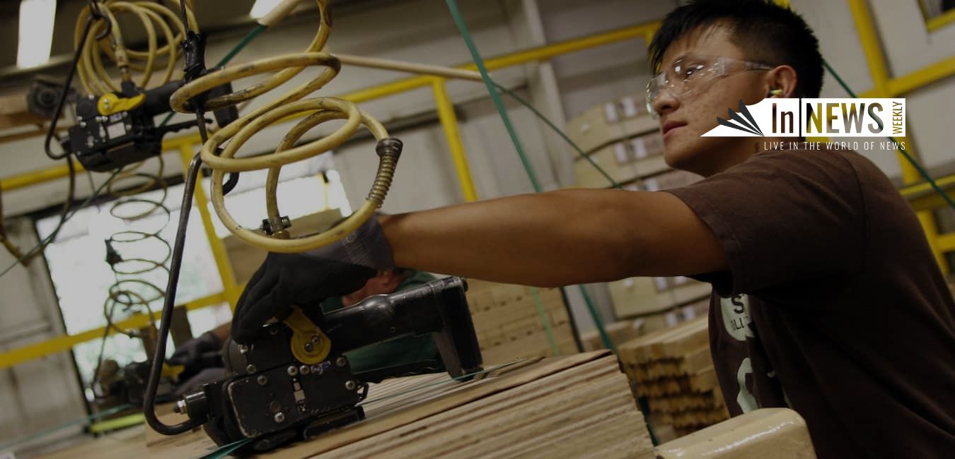 Is Forest Products A Good Career Path