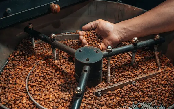 How Different Roast Levels Transform Single-Origin Coffee Coffee Roasting