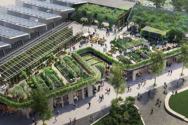 Sustainable Design Consultant