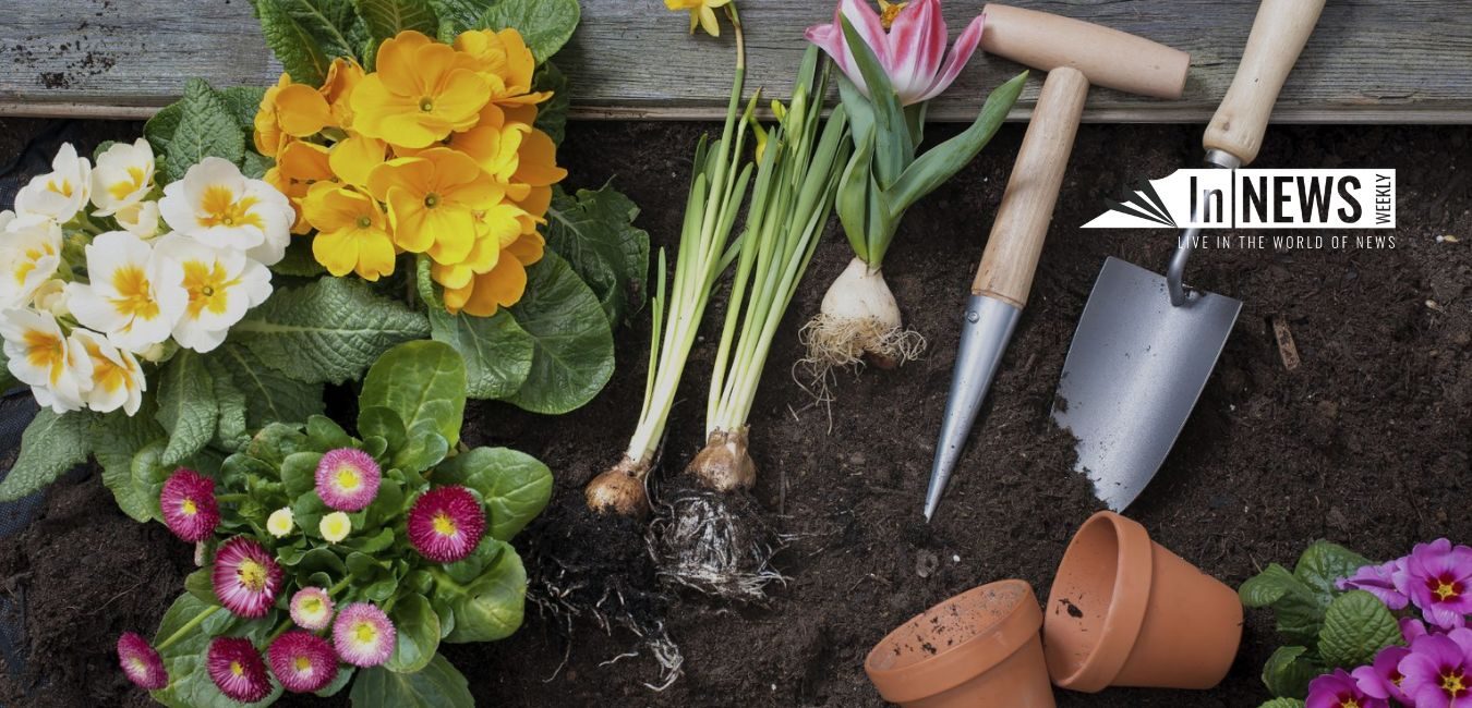 Gardening