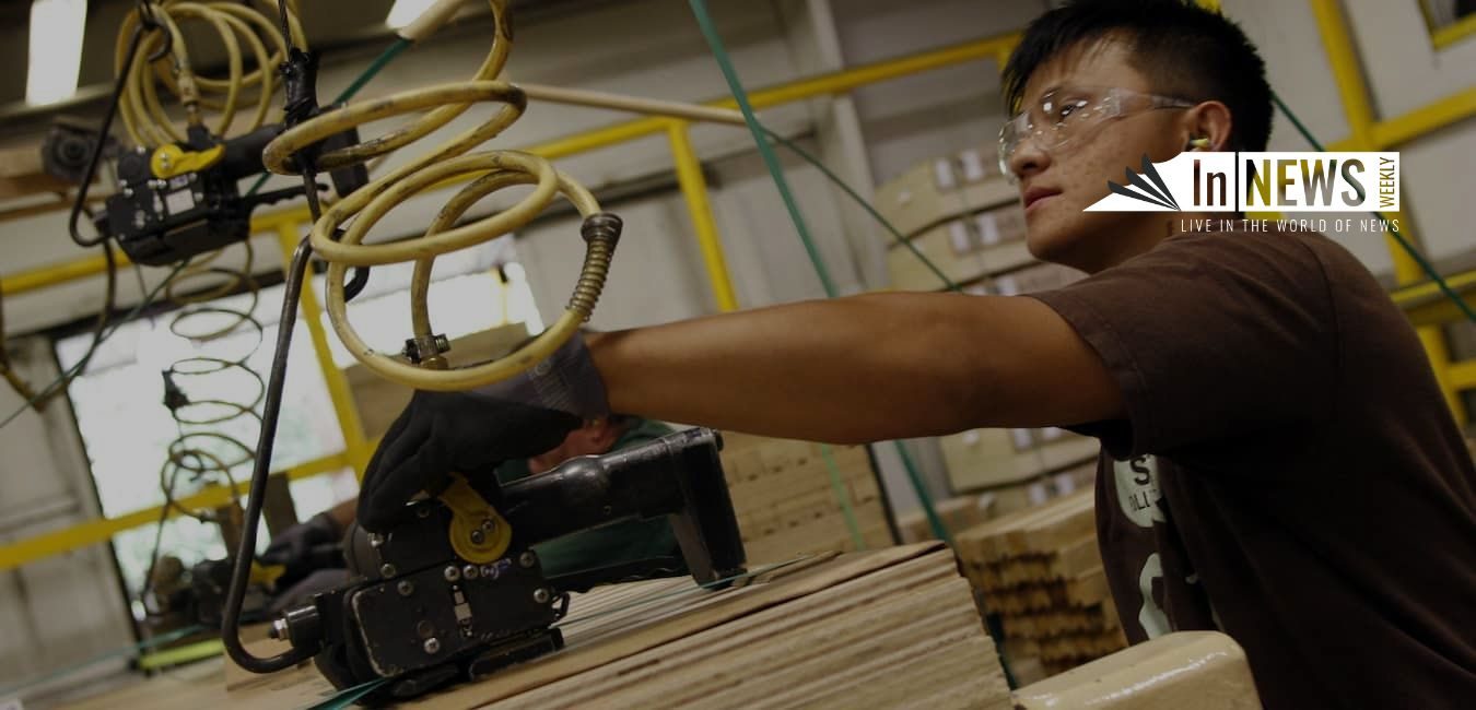 Is Forest Products A Good Career Path