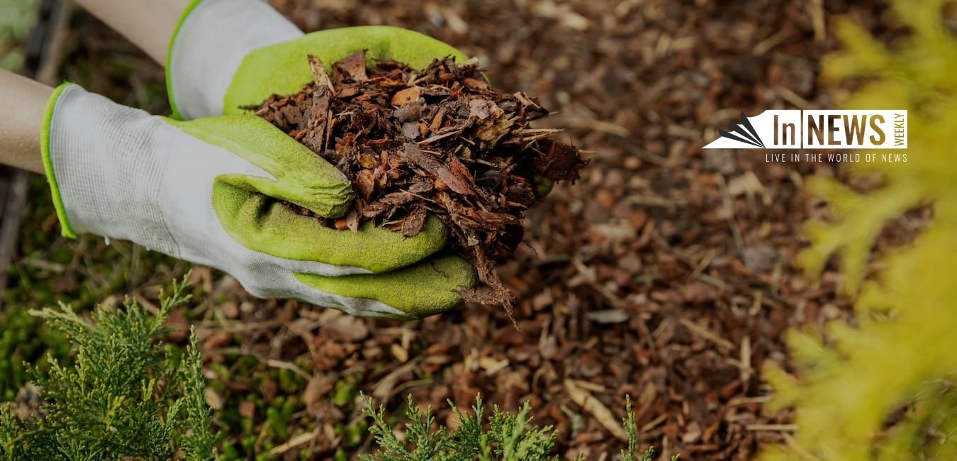 The Role Of Mulch
