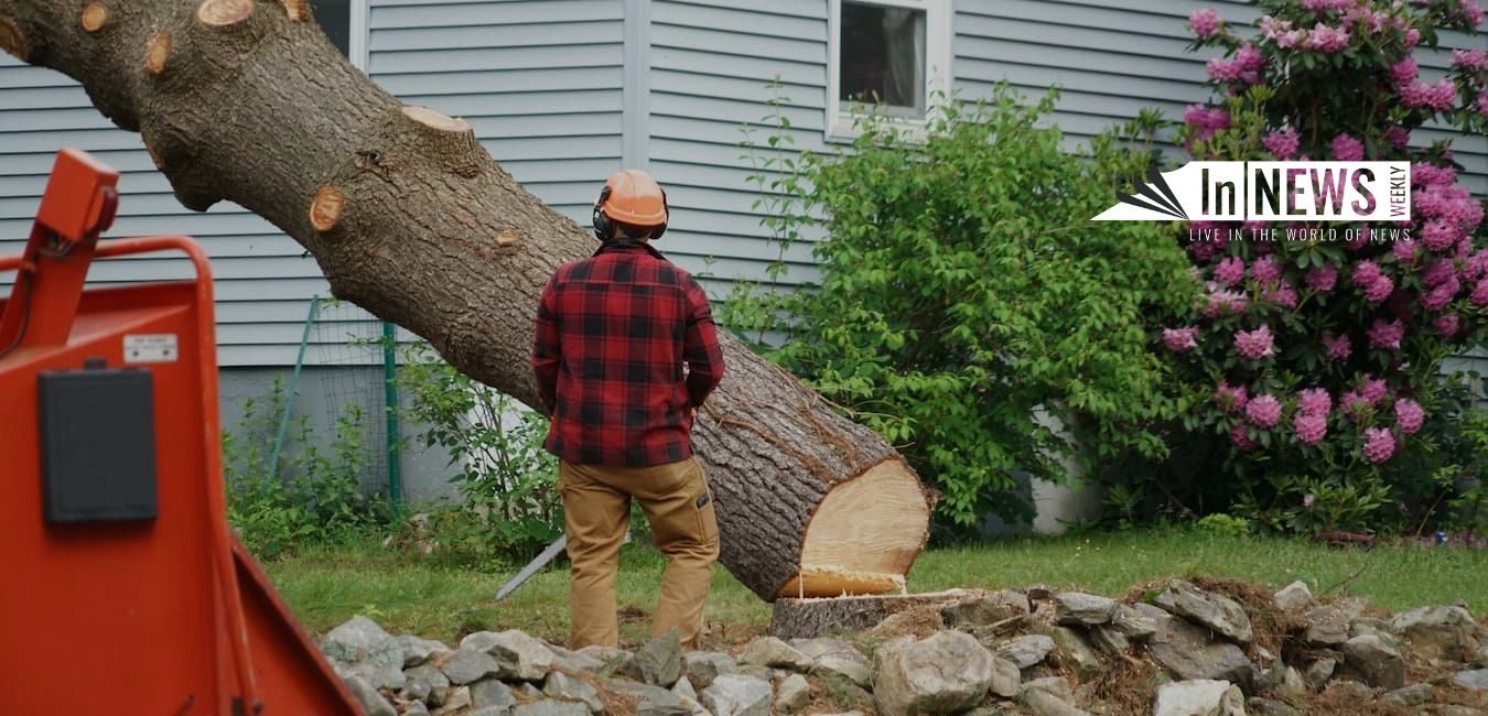 emergency tree removal