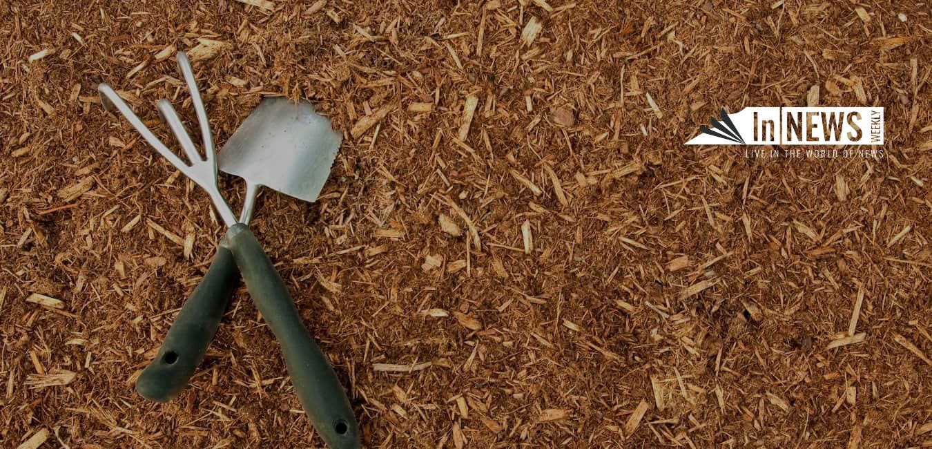 mulch installation
